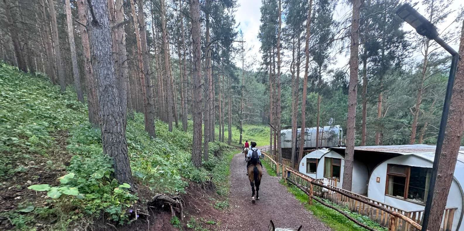 Chunkurchak Valley: Easy Day Trip from Bishkek