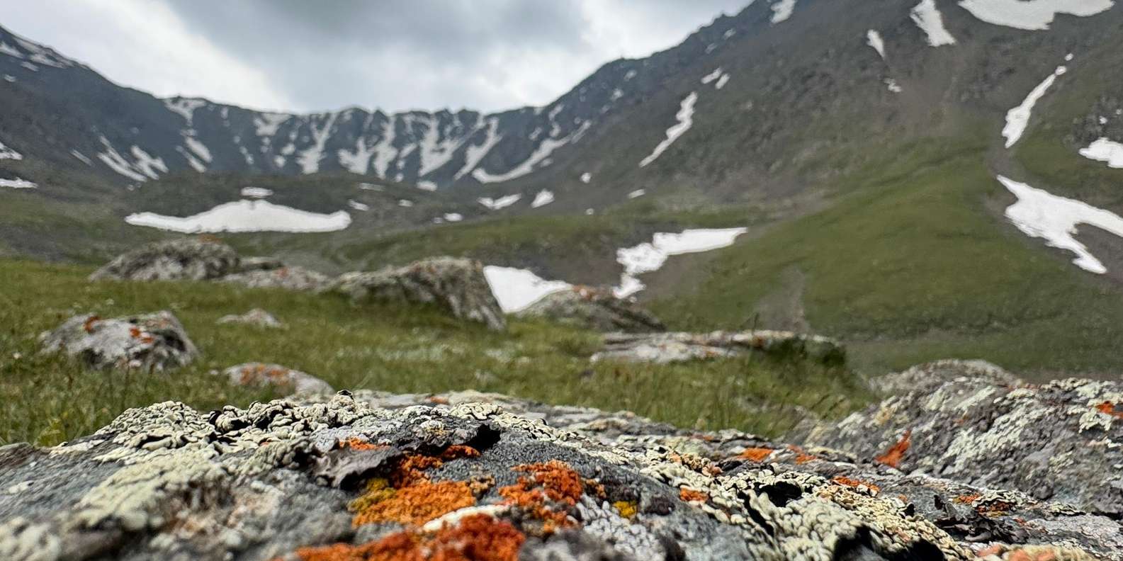 Mountain Lakes & Too-Ashuu Pass Scenic Tour