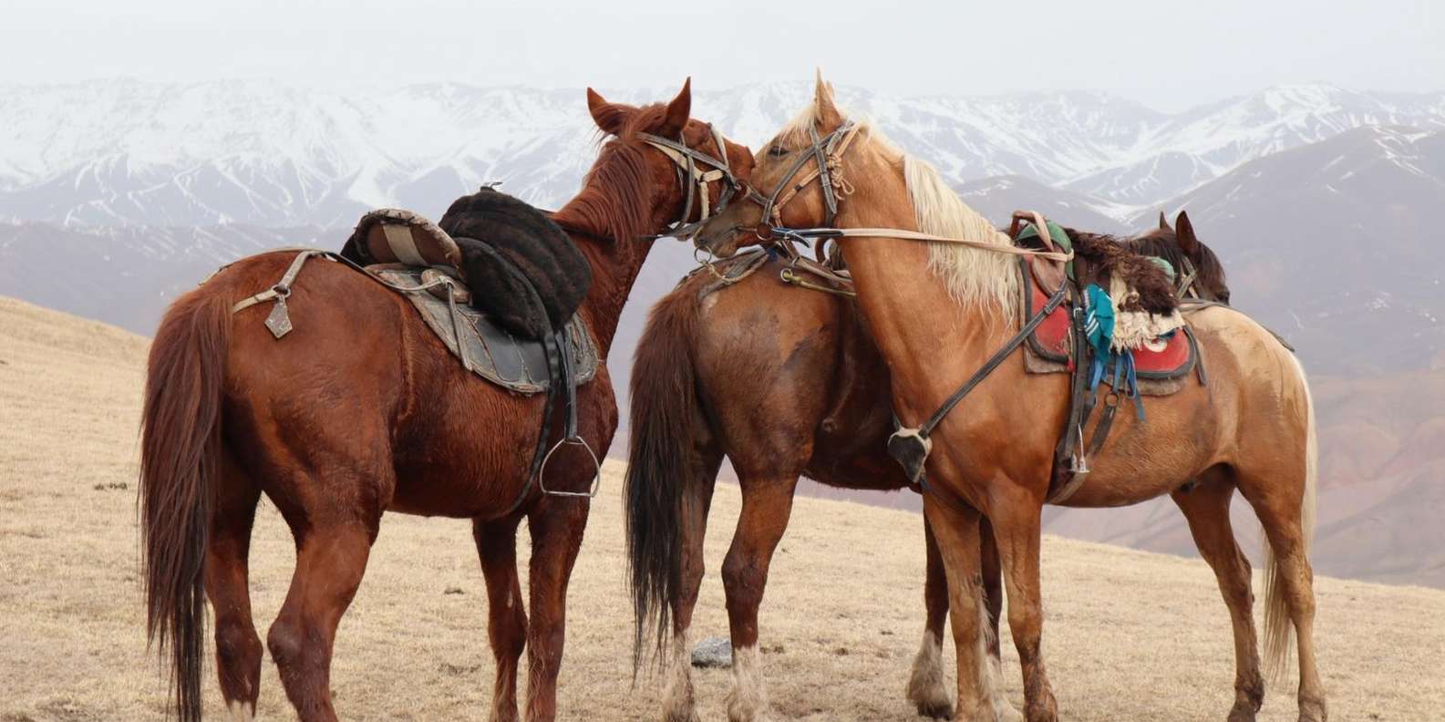 Private Son Kul 3-Day Tour by KB Travel