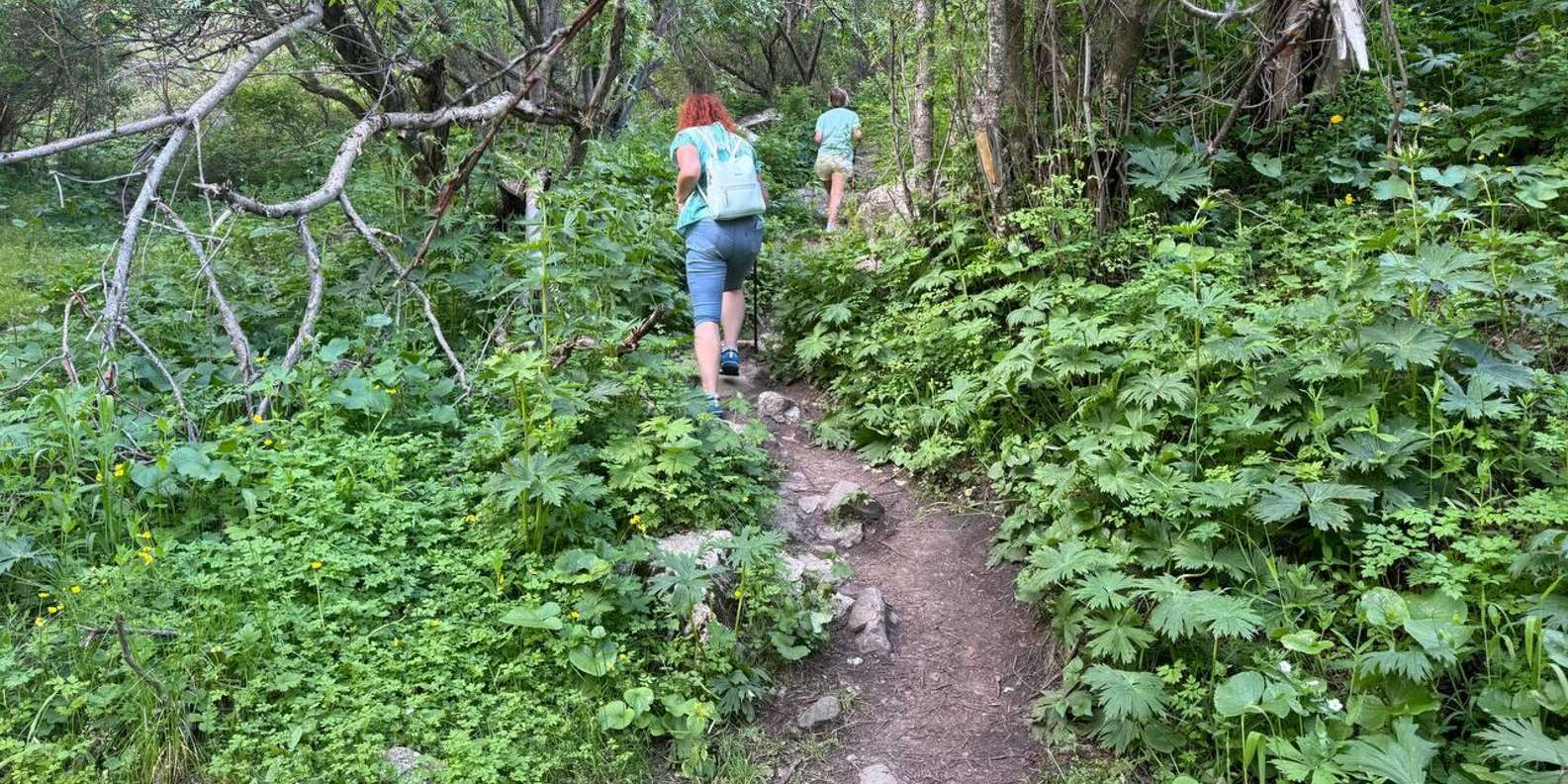 Waterfall Belogorka & Sokuluk Gorge (Hike & Picnic in 1 Day)