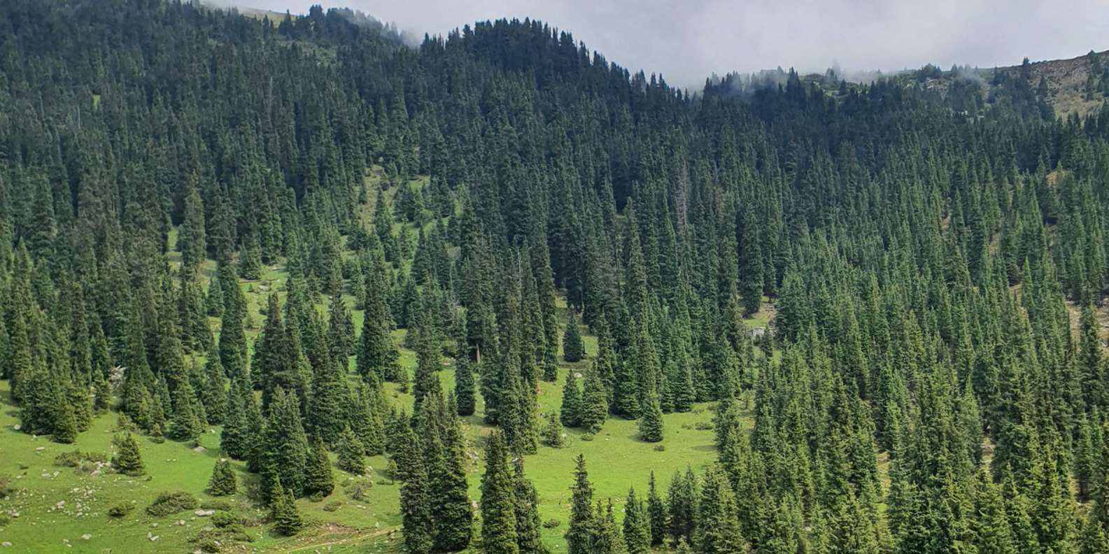 2-Day Tour Around Issyk-Kul: Jeti-Oguz, Barskoon & Karakol