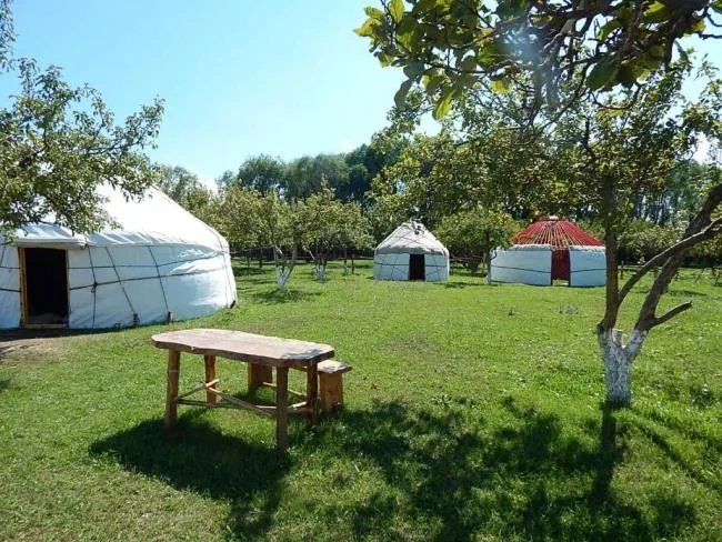 Almaluu Yurt Camp